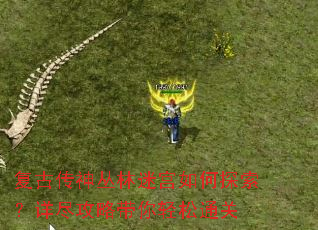 复古传神丛林迷宫如何探索?详尽攻略带你轻松通关 复古传神丛林迷宫如何探索?详尽攻略带你轻松通关