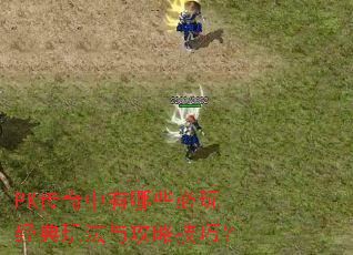 PK����������Щ���澭���淨�빥�Լ��ɣ�