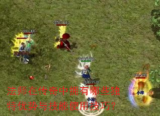 ��ʦ�ڴ�����ӵ����Щ���������뼼��ʹ�ü��ɣ�