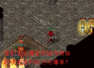 ��ְҵ�߱���̬�洫����ο�������ս���뱬�ʣ�