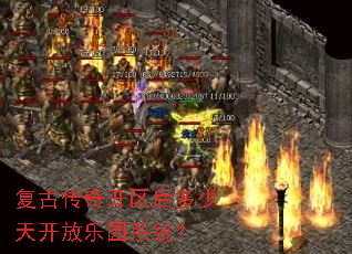 ���Ŵ��濪��������쿪����԰ϵͳ��