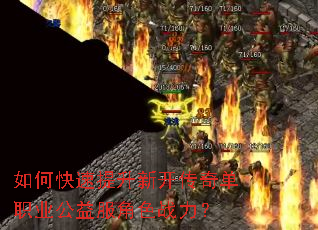 ��ο��������¿����浥ְҵ�������ɫս����