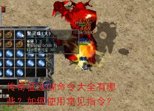 ������;GM�����ȫ����Щ�����ʹ�ó���ָ�