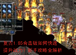 ����1.85�ϻ�����ο�������ս�������ֹ���ȫ����
