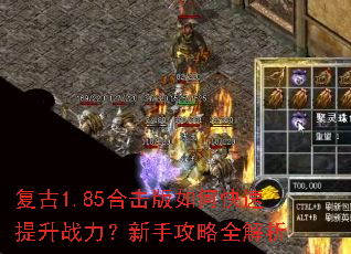 ����1.85�ϻ�����ο�������ս�������ֹ���ȫ����