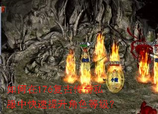 �����176���Ŵ���˽���п���������ɫ�ȼ���