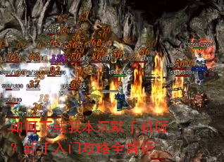 ��������ұ���Ĭ�ֻ��棿�������Ź���ȫ����