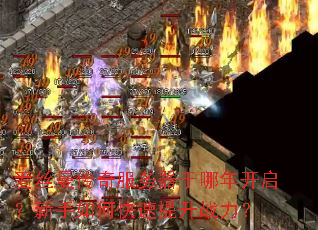 ��˿����������������꿪����������ο�������ս����