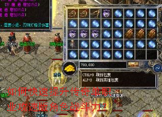 ��ο����������浥ְҵ���ٰ��ɫս������