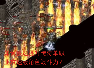 ��ο����������浥ְҵ���ٰ��ɫս������